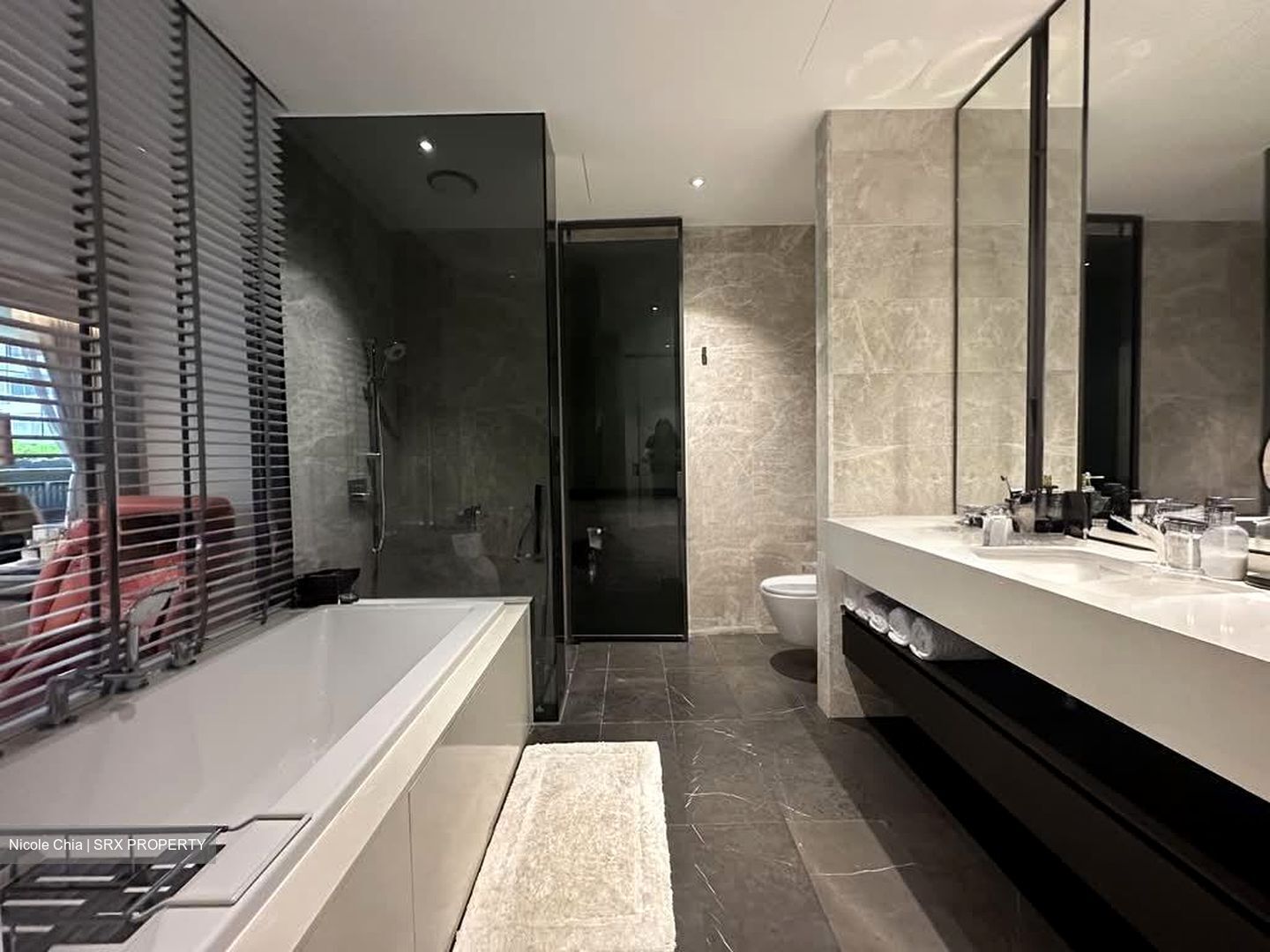 Amber Park (D15), Condominium #557719141